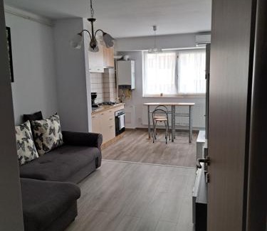 Bacau Apartment | Fiald Apartament Nou