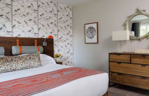 Stowe Area Hotel | Field Guide Retreat | Trail Access, Local Eats & Cozy Lodge Comfort in One Spot