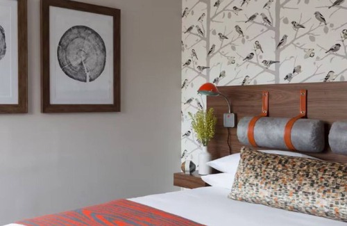 Stowe Area Hotel | Field Guide Retreat | Trail Access, Local Eats & Cozy Lodge Comfort in One Spot