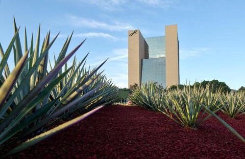 Vallarta Poniente Hotel | Fiesta Americana Guadalajara