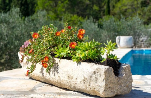 Korcula Villa | Fig Tree Villa - Korcula