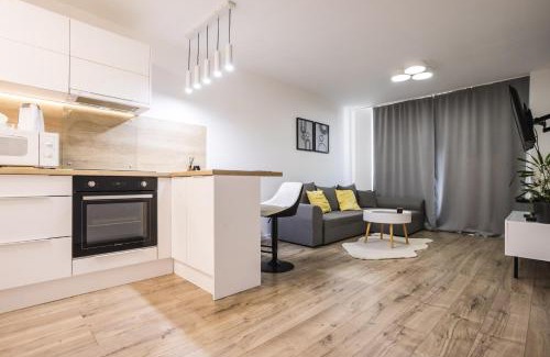 Kosice Old Town Apartment | Figlo Apartment