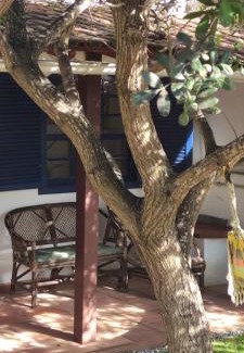 Arraial do Cabo House | Figueira - Casa da aroeira