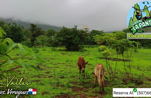 Veraguas House | Finca Agroturística Sendero La Pantera
