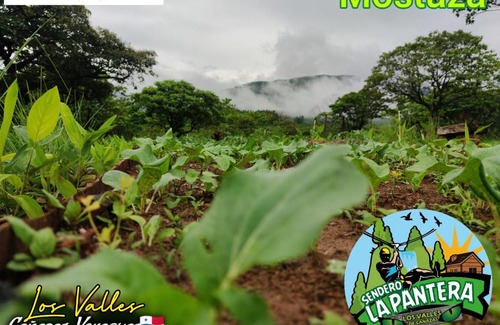 Veraguas House | Finca Agroturística Sendero La Pantera