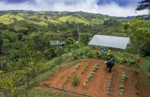 Platanares House | Finca Anjala - Architectural lodge on sustainable