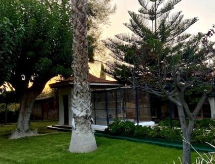 Elda House | Finca de Roxana