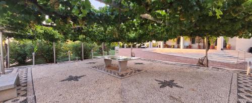 Fuente de Pedro Naharro Villa | Finca el descanso manchego