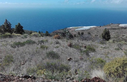 Tijarafe Cottage | Finca Evamar Tijarafe