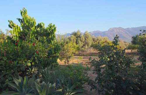 Alhaurin el Grande House | Finca La Madreselva