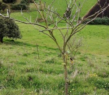 Zipaquira Villa | Finca Severo Refugio