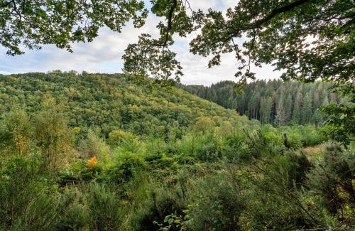 High Bickington House | Finest Retreats - Forest Park Lodge