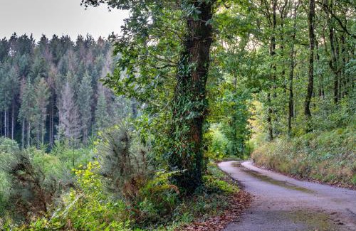High Bickington House | Finest Retreats - Forest Park Lodge