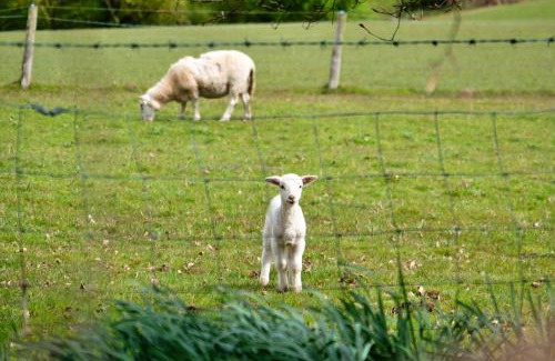 Nordley House | Finest Retreats - Hay and Hedgerow Glamping
