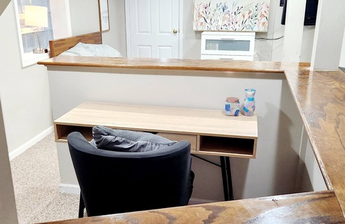 Oak Park House | Finished Basement in Historic Oak Park with 2 cats