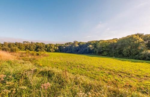 Saltash House | Fir Cottage - Uk38485