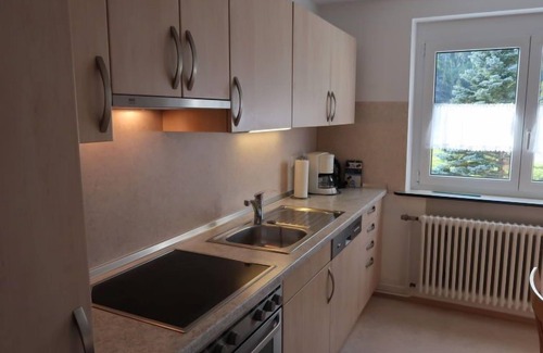 Eisenbach Apartment | Fischer by Interhome