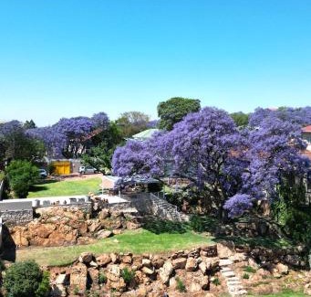 Greater Johannesburg Metropolitan Area House | Fishbird Art Deco Villa