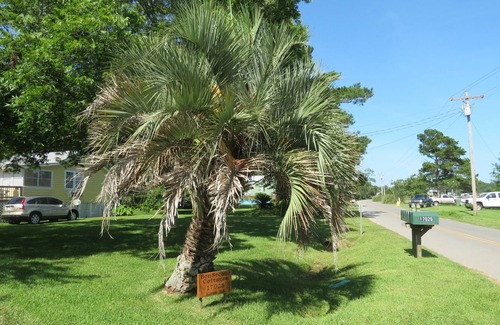 Bon Secour Cottage | Fishermen Beach Lovers Snowbirds Unique Bon Secour River Cabin, Pet Friendly!