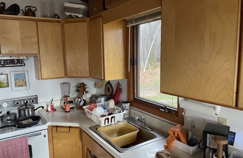 Deerwood Cabin | Fishing cabin in the pines! 50 acres of lakeshore forest, & only YOU! Beauty.
