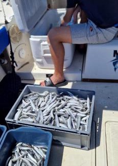 Primosten Boat Rental | Fishing Chatrer -Big game-izleti brodom