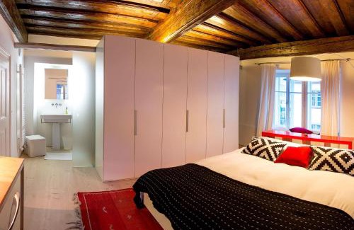 Ljubljana Old Town Apartment | FishSquare
