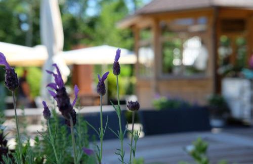 Baiersbronn Apartment | Flößer-Heimat - ruhige Lage inmitten der Natur