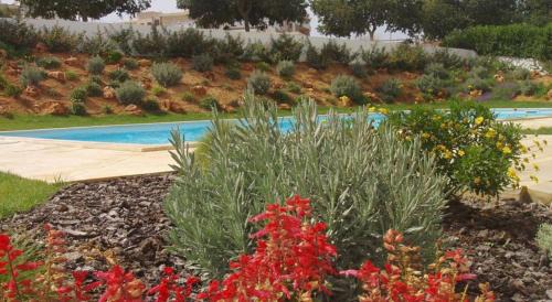 Portimao Apartment | Flamingo Apartments