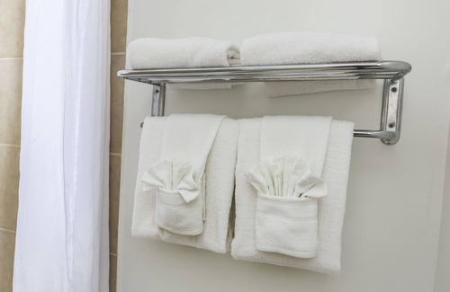 Kissimmee Hotel | Flamingo Express Hotel