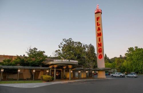 Montgomery Village Resort | Flamingo Resort & Spa Santa Rosa Sonoma, Tapestry by Hilton