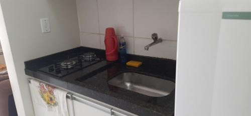 Asa Sul Apartment | Flat park da cidade