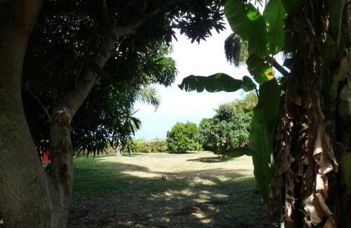 Le Portail Villa | Fleur de Canne