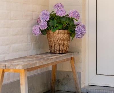 Sint-Martens-Latem House | Fleur de Pivoine