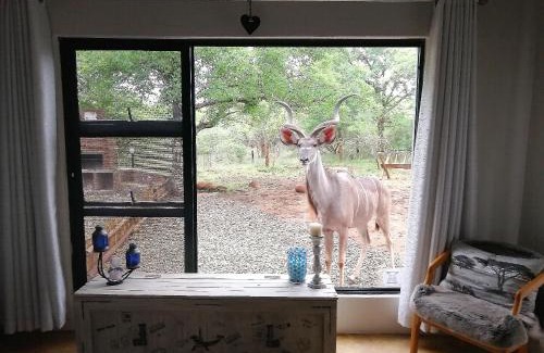Marloth Park House | Flight of the Eagle @ Kruger