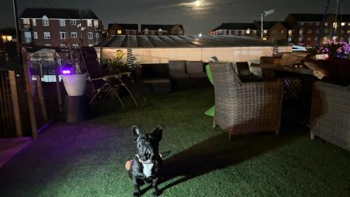 Liverpool Boat Rental | Float uniquely on Liverpool Waterfront on our high end 8 berth Houseboat