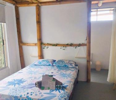 Ballena House | Flor de bambú