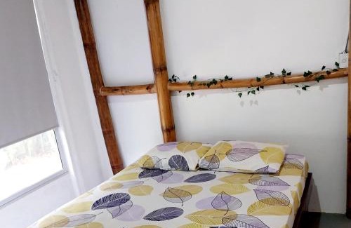 Ballena House | Flor de bambú