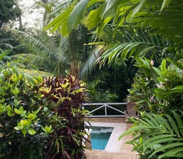 Montezuma Apartment | FLOR DE PARAISO BUNGALOWS