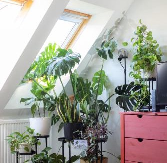 Ferencvaros Apartment | Floral Bliss Apartment