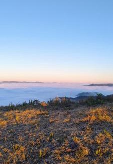 Bom Jardim da Serra Other | Flores da Serra Gastronomia e Turismo Rural