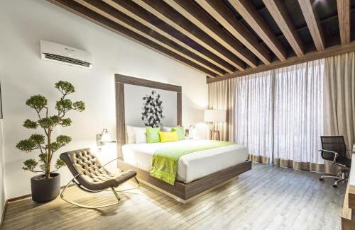 Hipodromo Hotel | Flow Condesa - Adults Only