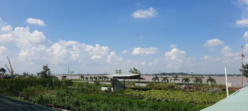 Sa Dec House | Flower & Frog Homestay