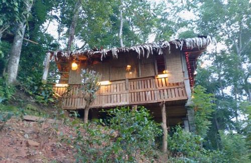 Ella Boat Rental | Flower Hill
