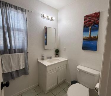Downtown Las Vegas Apartment | Flowers Downtown Vegas