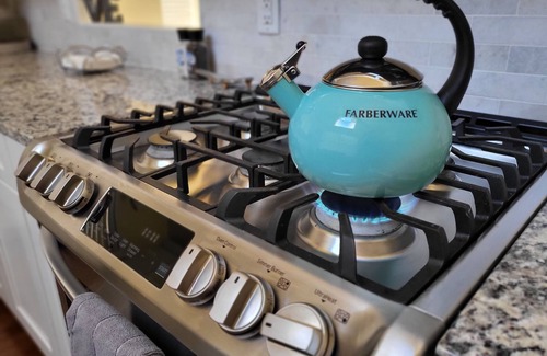 Franklin House | Flowing Water, Firepit, Large Deck, Wi-Fi, Stocked Fishing in Backyard Creek