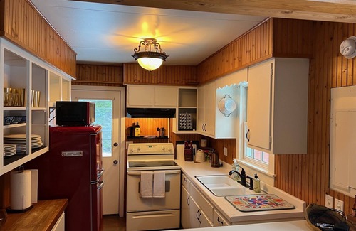 Sturgeon Bay House | Forest A-frame with fireplace