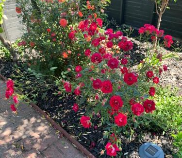 Templeton House | Forest and Vine - Hot tub and Pet Friendly!