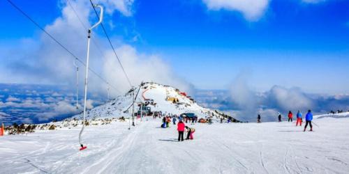 Borovets Apartment | Forest Apartment/Villa Park