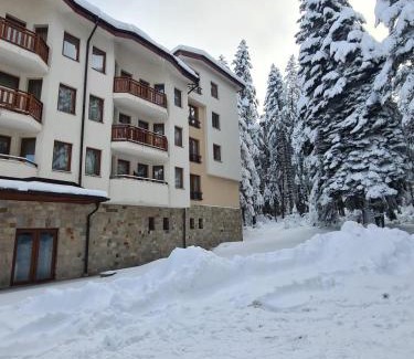 Borovets Apartment | Forest Apartment/Villa Park