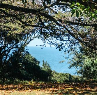 Umdoni House | Forest Cottage